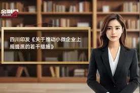 四川印发《关于推动小微企业上规提质的若干措施》视频封面
