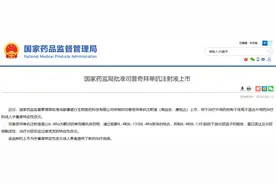 国产之光！全球第二款IL-4Rα单抗获批上市，冲击百亿市场图片