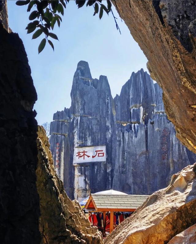 石林的冬天，藏着“延迟版”秋景