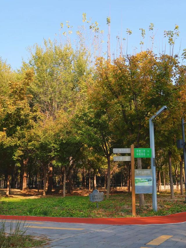 邂逅初冬，大兴6条宝藏慢跑路线请收好