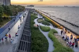 宝山：一起来这些临水步道吹吹风吧~图片
