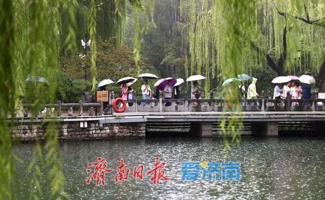 雨中赏泉，济南趵突泉似江南画卷
