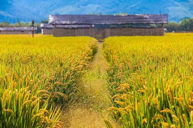 现在的宜兴，已经美成这样了……