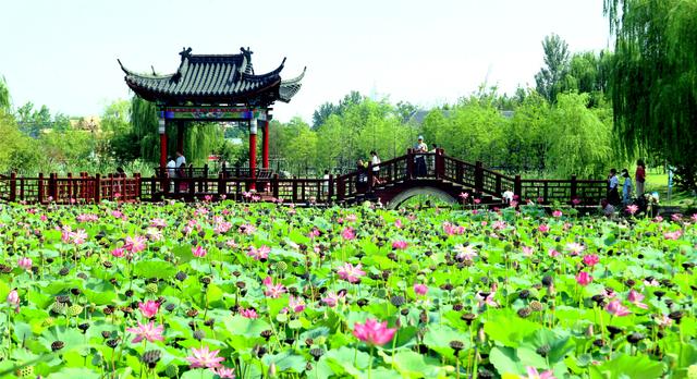 宁陵口袋公园绘就市民幸福画卷