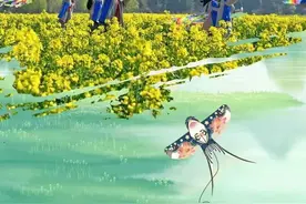 清明｜与春同行，踏青赏景图片