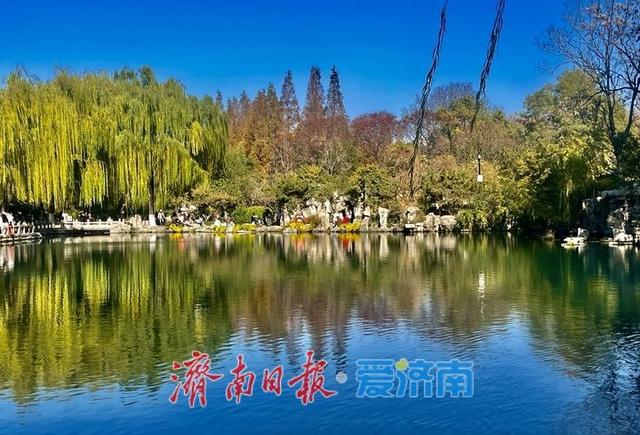 一年四季 泉在济南丨落叶绘“萌鹿”  济南五龙潭打卡冬日限定浪漫