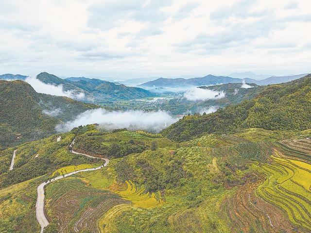 南平政和：云上梯田 “吃上文旅饭”