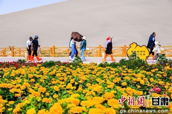 敦煌鸣沙山下花海斑斓