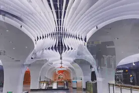 一出地铁站就能看“海”！车站内有江南美景！上海地铁这些空间您打卡了吗？图片