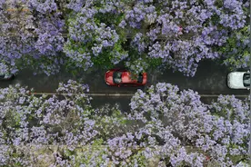 2024年“五一”假期昆明市共接待游客1175.63万人次图片