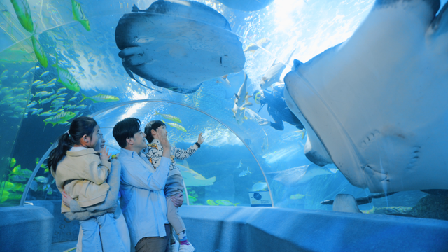 活动预告 | 精彩在奥帆，活动早知道！