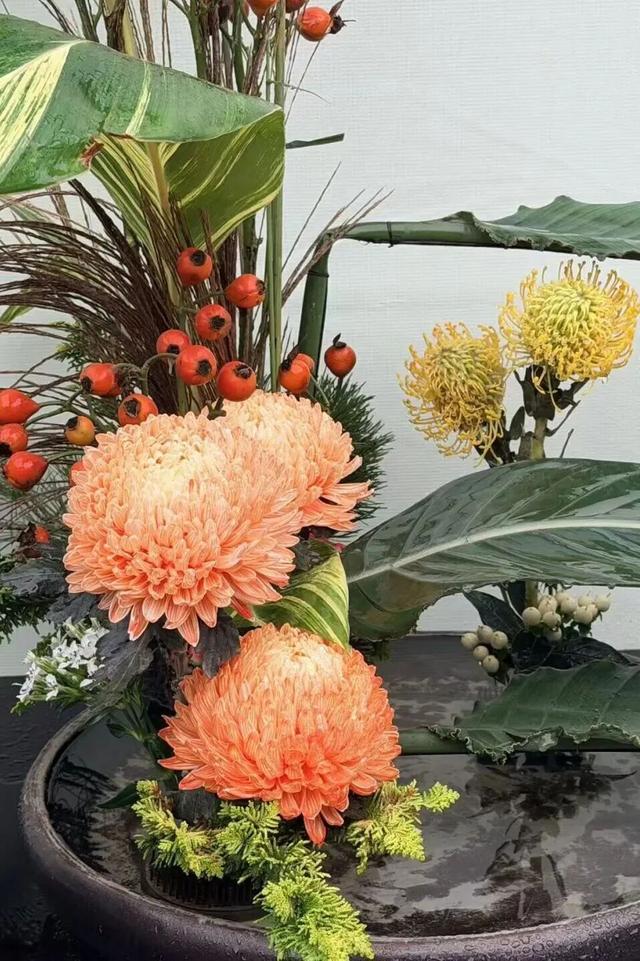 已开，免费！10万盆菊花、超多精彩活动等你来