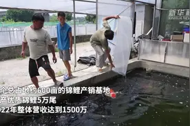 广东佛山：特色水产“游”向全国图片