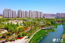 解读北京路街道的“城管”密码图片