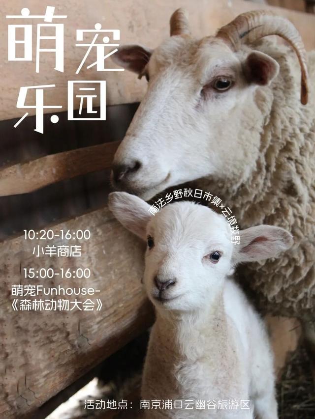 南法乡野秋日市集即将启幕