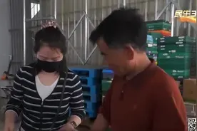 又到瓜果飘香时 南汇8424西瓜上市视频封面