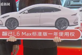 每周送汽车 2025浦东嘉年华首展首发首秀不停！图片