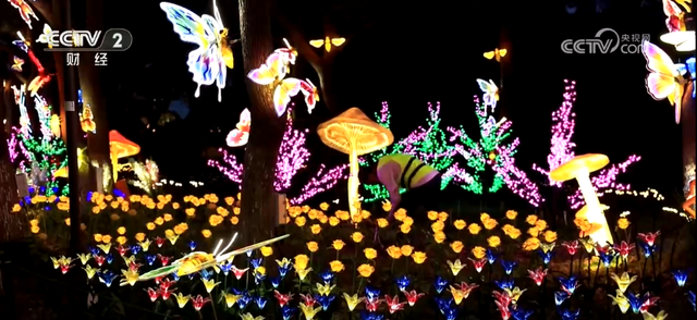 暑期文旅市场“百花齐放” “夜经济”引领夏日消费热潮
