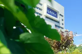 镜头下的北京科学中心｜爬山虎蔓延图片