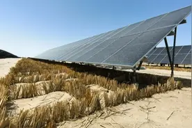 锁边固沙 敢叫荒漠变绿洲图片