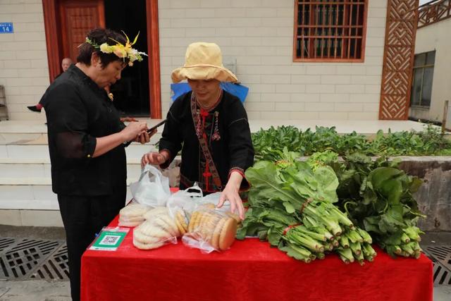 多图+视频！一起回看2025年白沙“啦奥门”雨林与您山兰文化活动精彩瞬间