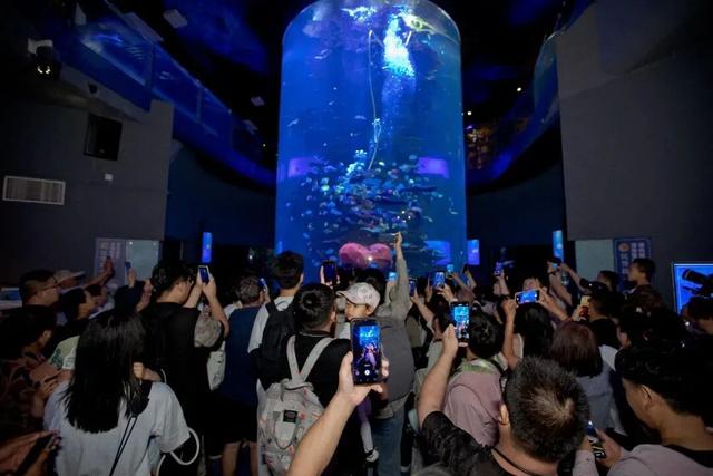 错过等12年？海底世界马年生肖特惠仅20.26元，9.9元儿童票惊喜开抢！