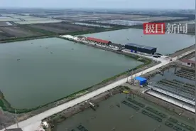 2000万投资！湖北江陵盘活乡镇闲置资源打造黄鳝鱼苗基地图片