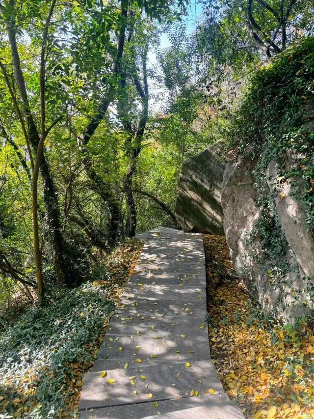 在雨山邂逅暗香苑，寻见一方藏在城市角落的桃花源