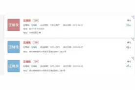 湖北孝感一村超百名村民被冒名注册工商营业执照，当地：已成立专班彻查图片