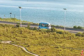 绿色公交“村村通”图片