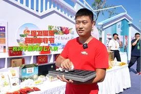 村村有好戏|“保卫蛋蛋”亮相丰收节，一枚鸽子蛋卖到七八块图片