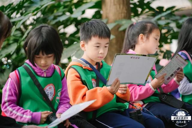 12.07 独立营｜冬日寻羽记：解码西湖候鸟的越冬密码！鸟类专家带队，探秘茅家埠“鸟类天堂”，体验听声辨鸟、飞羽寻踪的野趣周末！