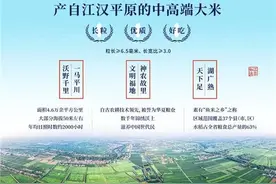 一碗江汉米，品味人生幸福味道图片