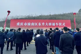 重庆市级重点工程 潼南东升大桥建成通车图片