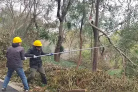 多措并举，龟山公园全力做好寒潮应对工作图片