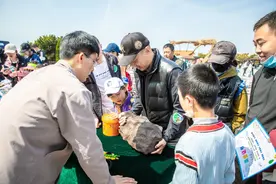 线上线下总动员，我们共同守护美丽地球家园图片