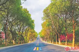福建：最美的风景在路上图片