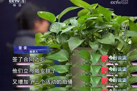 居家拍摄、轻松高薪？80余人陷入模特招聘陷阱……图片