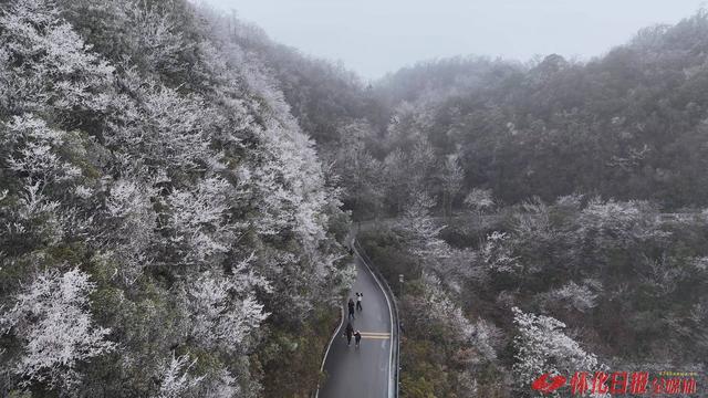 冰雪世界 银装素裹——怀化冬日现雾凇景观绝美如画