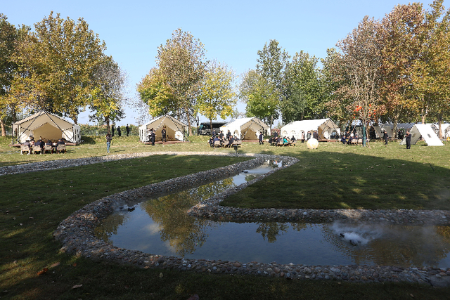 金秋美景醉游人 露营房车好生活