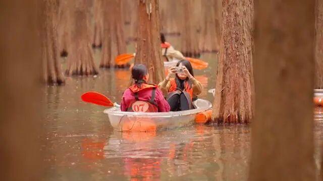 到肇庆，邂逅一场岭南绚彩之冬！