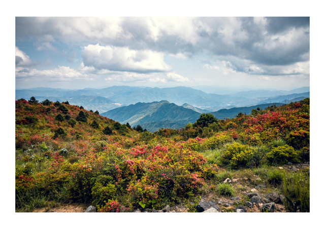 闽清新春活动更新啦！一起解锁快乐密码~