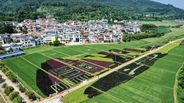 昆明8条2025乡村旅游精品线路出炉，附详细游玩攻略