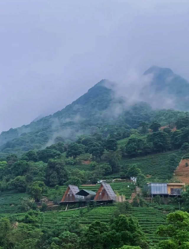 清城不远·十一首选 | 畅游山水画廊，康养福地