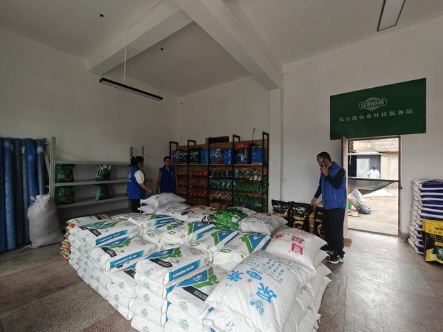 稳价备足“粮草”  服务直通田间