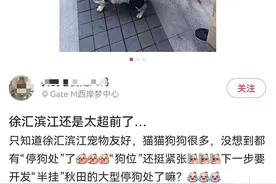 上海现“停狗处”太超前？记者实探：不止一处，有人点赞有人忧图片