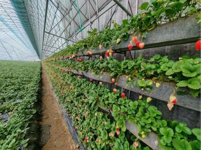 冬蕴万象 | 冬日激情，解锁密云新玩法