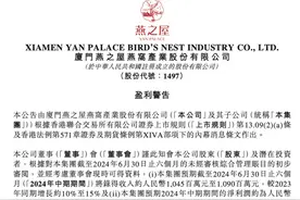 燕之屋净利润较同期下降约40%至50% 巩俐、王一博为代言人 去年宣传费用约占三成图片