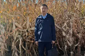 解读丨粮食产量突破新高，揭秘那些你不知道的“国家账单”图片