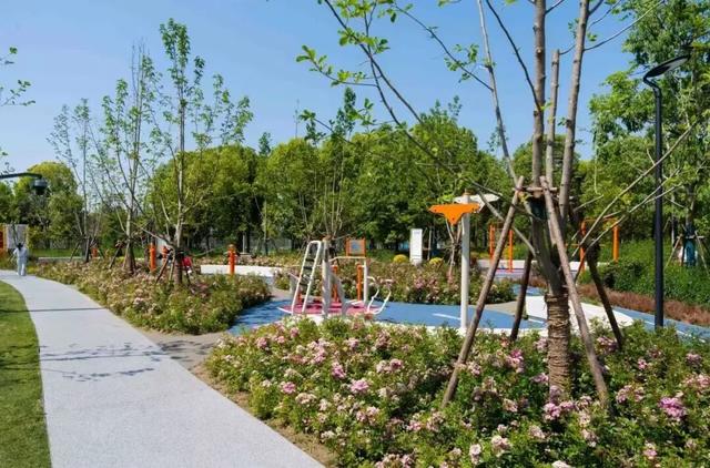 3000㎡！属于萌宠的gogoland帮你找到了！